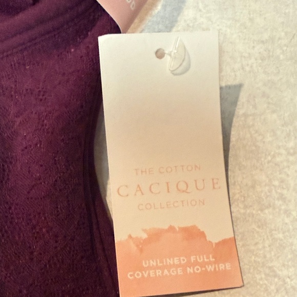 NWT Cacique Lace Bra in Rich Burgundy and Pink 42DDD - Picture 3 of 7